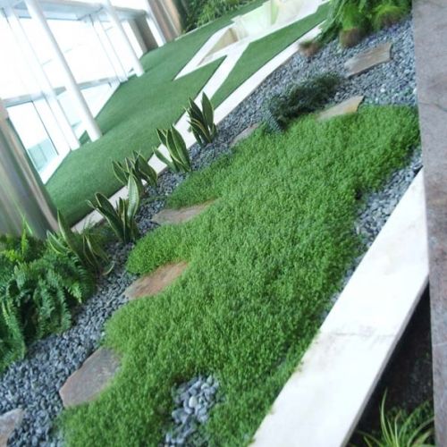 Grandes obras de jardinería