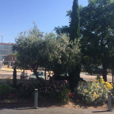 Grandes obras de jardinería