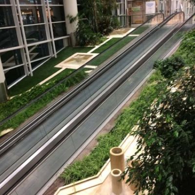 Grandes obras de jardinería