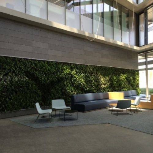 Jardines verticales