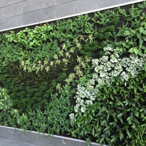 Jardines verticales