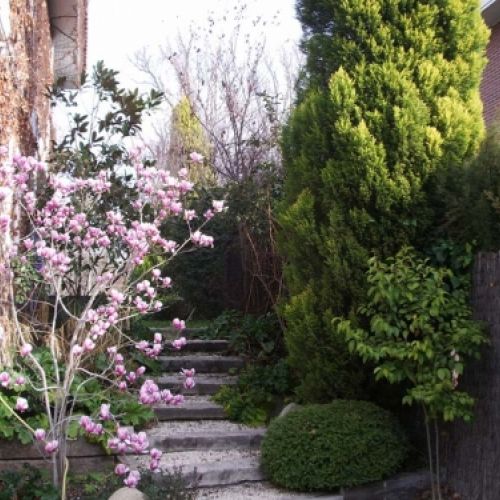 Pequeñas obras de jardinería
