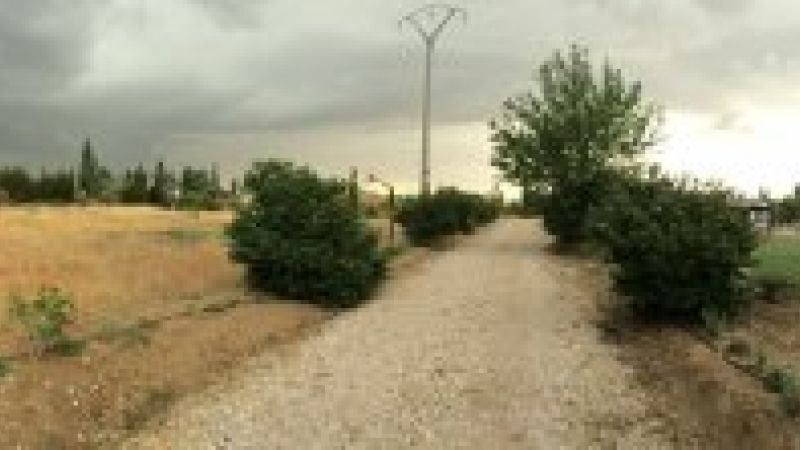 img 0676
