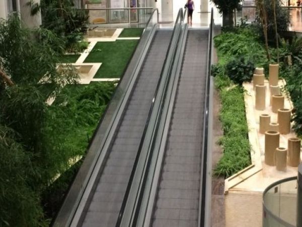 img 0691